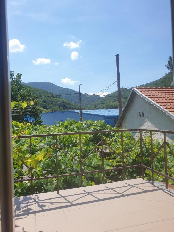 Casa Dina Hotel Băile Herculane Buitenkant foto