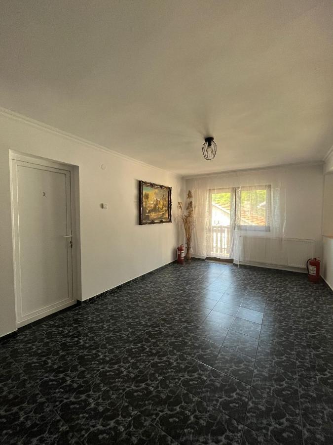 Casa Dina Hotel Băile Herculane Buitenkant foto