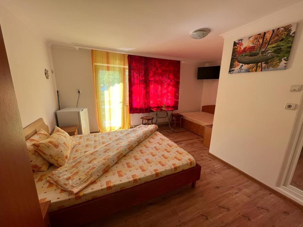 Casa Dina Hotel Băile Herculane Buitenkant foto